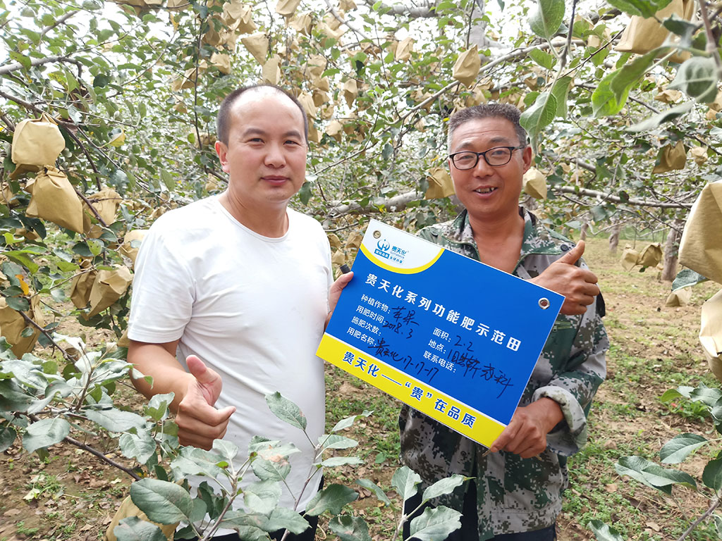 贵天化系列功能肥示范田展示四