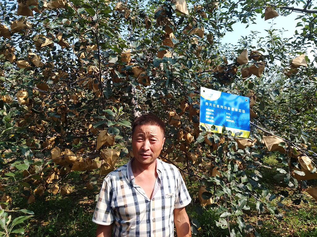 贵天化系列功能肥示范田展示六