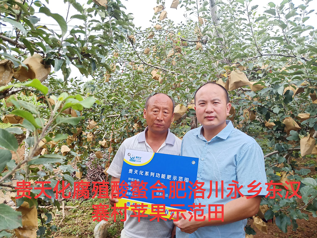 贵天化系列功能肥示范田展示三